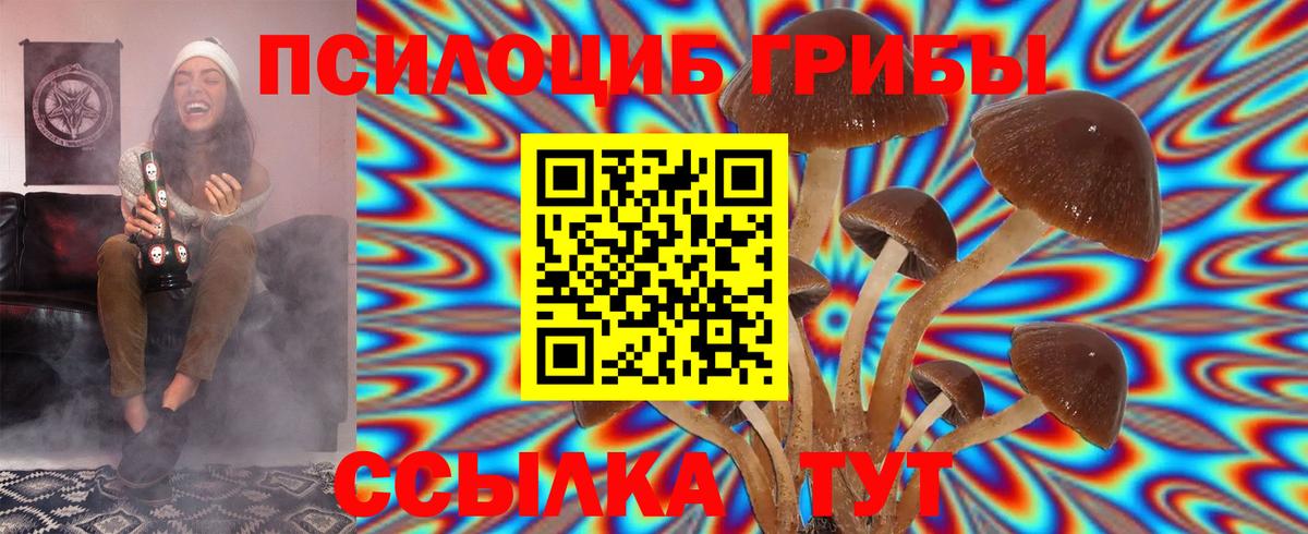 Псилоцибиновые грибы MAGIC MUSHROOMS Кимры