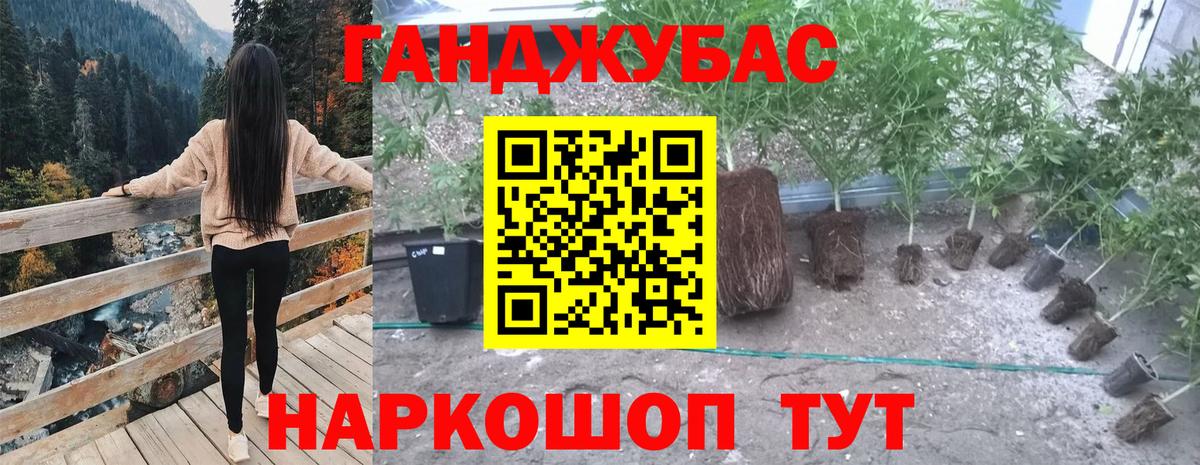 Бошки Шишки OG Kush Кимры